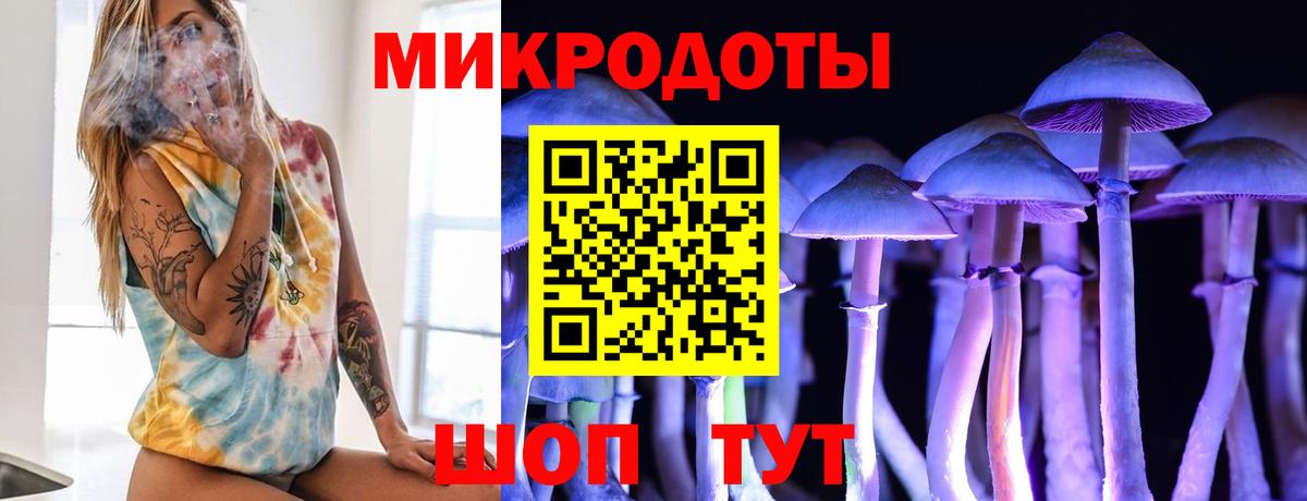 Псилоцибиновые грибы GOLDEN TEACHER  Вход с VPN  Псилоцибиновые грибы мухоморы  Ефремов 