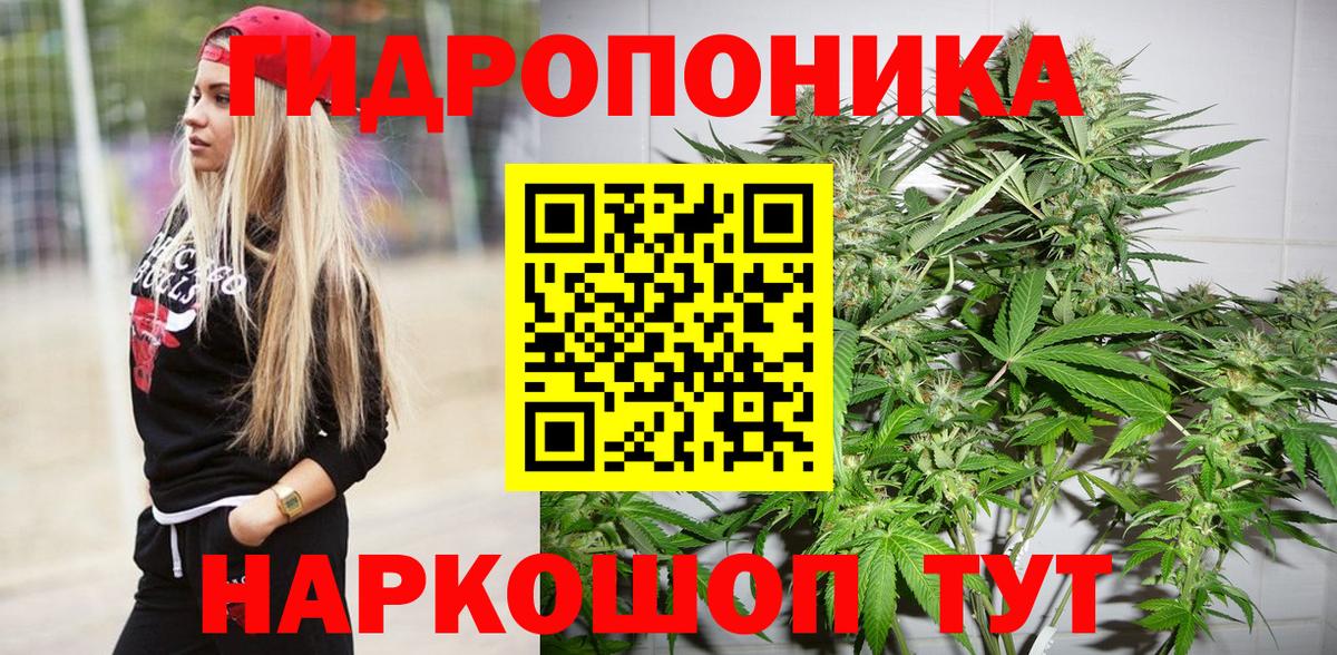 МАРИХУАНА конопля Ефремов